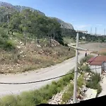 Green City